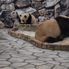 優浜と良浜
