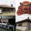喜舎場邸