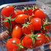 安井農産『声掛けトマト』アイコ。メチャメチャ甘い！