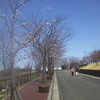 さくらの山公園入り口付近