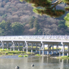 渡月橋