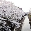 日蓮橋
