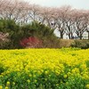 横浜市瀬谷区の海軍道路にて