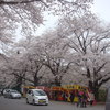 小林牧場