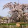 丸山公園