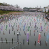 館林市を流れる鶴生田川