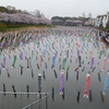 館林市を流れる鶴生田川