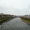 館林市を流れる鶴生田川