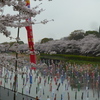 館林市を流れる鶴生田川