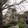狛犬と桜