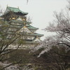 城と桜