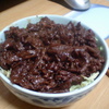 焼肉丼はつだもどき