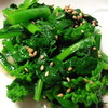 年越しの野沢菜　春芽