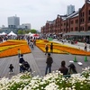 FLOWER GARDEN 2013