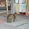 ⑦