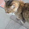 ⑧
