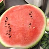 熊本産、初物スイカ切り口