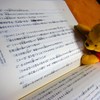 poohは一人で「ハリーポッター」に夢中