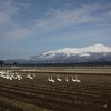 鳥海山