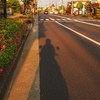 たんじきの影