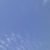ピーカンのお天気