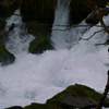 奥入瀬渓流　子の口付近