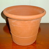 Whichford Buxus pot