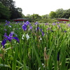 日本庭園