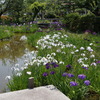 加古川市役所前の庭園