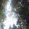 大原の初夏の陽射
