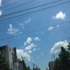どこまでも高い空・・・夏空やん！