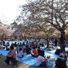 お花見で有名な円山公園の風景