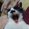 眠い～