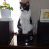 KENWOOD　K-521