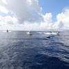 鯨発見！他のエリアの漁船もお互い連絡をとり合流