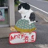 そばねこも、左右確認中