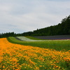 ファーム富田