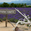 ファーム富田