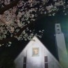 教会と桜