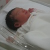 誕生後新生児室に入った赤ちゃん 