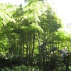 東慶寺