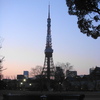 芝公園から見た東京タワー 