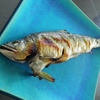 鮎