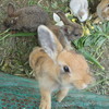 ⑥