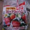 イチゴの土です