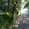 あの桜坂♪