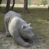 ヒョウさん