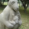 カンガルーさん（子供可愛い）