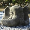 ゾウさんのゾウ（すみません）