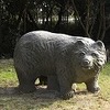 クマさん